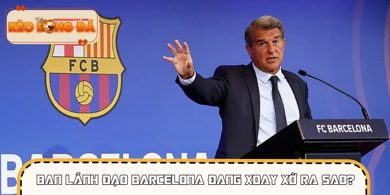 Đội ngũ lãnh đạo đã có những nước đi bài bản