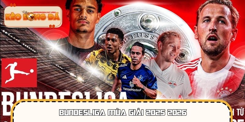 Bundesliga Mùa Giải 2025 2026 – Tin Tức Mới Nhất Về BXH