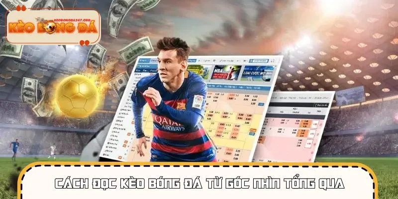 cach-doc-keo-bong-da-tong-quan