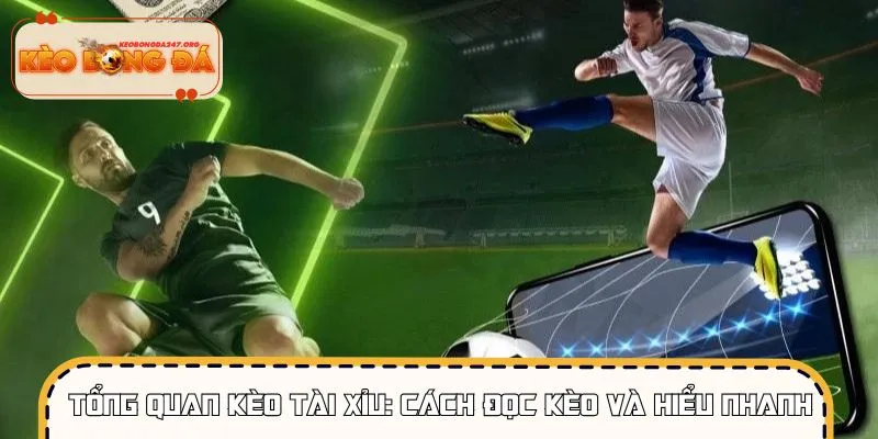 keo-tai-xiu-tong-quan