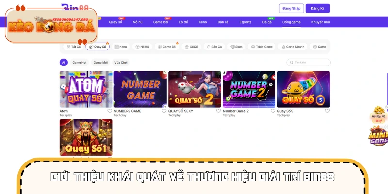 Giới thiệu khái quát về thương hiệu giải trí BIN88