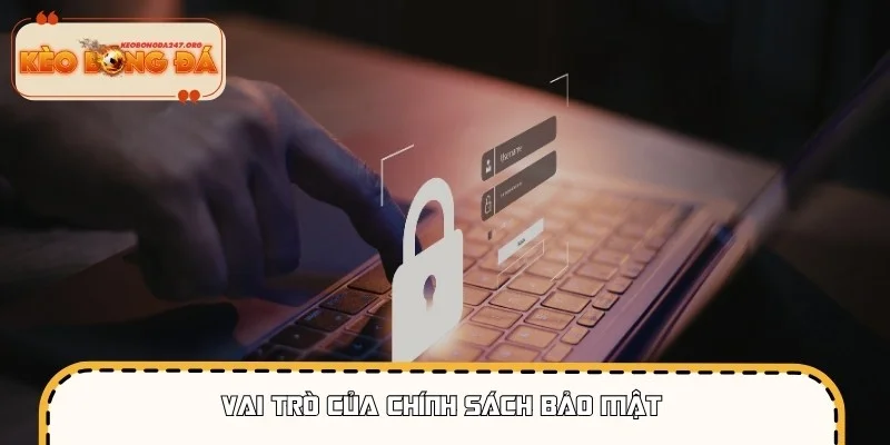 Chính sách bảo mật giúp bảo vệ an toàn dữ liệu người dùng