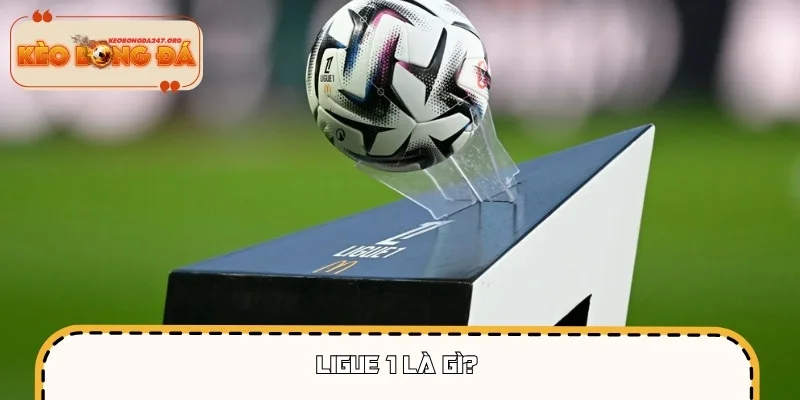 Ligue 1 được biết đến là giải đấu chuyên nghiệp của Pháp
