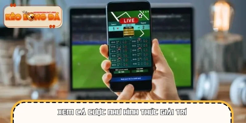 Cá cược chỉ nên dừng lại ở sở thích